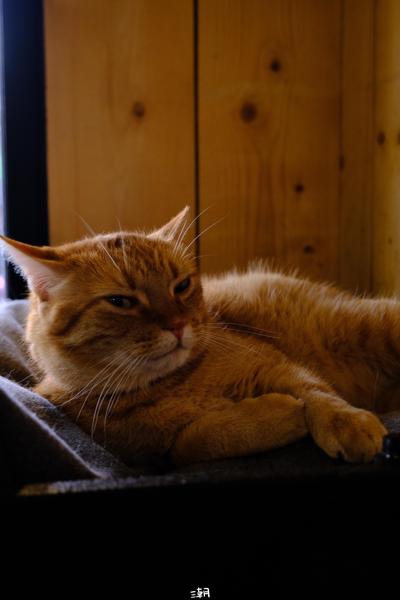  <strong>- Date</strong>: March 31, 2024 <br> <strong>- Exposure Time </strong>: 1/15 <br> <strong>- Focal Length </strong>: 44 mm <br> <strong> - ISO</strong>: 1250 <br>