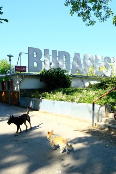  <strong>- Date</strong>: July 29, 2024 <br> <strong>- Exposure Time </strong>: 1/1000 <br> <strong>- Focal Length </strong>: 40 mm <br> <strong> - ISO</strong>: 2000 <br>