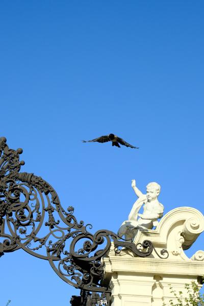  <strong>- Date</strong>: July 30, 2024 <br> <strong>- Exposure Time </strong>: 1/1000 <br> <strong>- Focal Length </strong>: 68 mm <br> <strong> - ISO</strong>: 1250 <br>