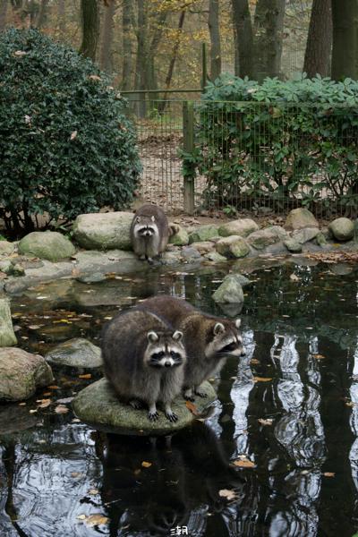  <strong>- Date</strong>: November 16, 2024 <br> <strong>- Exposure Time </strong>: 1/60 <br> <strong>- Focal Length </strong>: 68 mm <br> <strong> - ISO</strong>: 1600 <br>