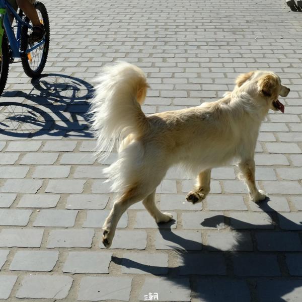  <strong>- Date</strong>: July 29, 2024 <br> <strong>- Exposure Time </strong>: 1/4000 <br> <strong>- Focal Length </strong>: 54 mm <br> <strong> - ISO</strong>: 2000 <br>