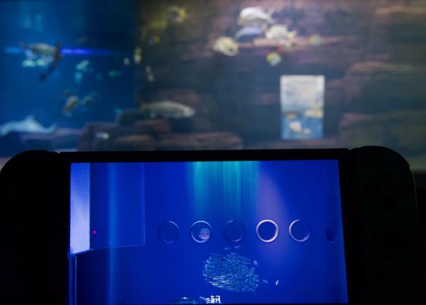  <strong>- Date</strong>: October 24, 2024 <br> <strong>- Exposure Time </strong>: 1/30 <br> <strong>- Focal Length </strong>: 26 mm <br> <strong> - ISO</strong>: 2500 <br>