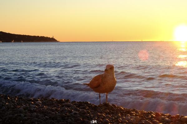  <strong>- Date</strong>: December 28, 2025 <br> <strong>- Exposure Time </strong>: 1/30 <br> <strong>- Focal Length </strong>: 68 mm <br> <strong> - ISO</strong>: 250 <br>