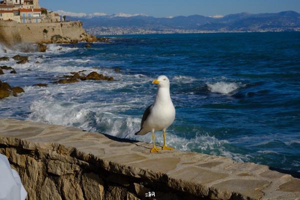  <strong>- Date</strong>: December 27, 2025 <br> <strong>- Exposure Time </strong>: 1/1000 <br> <strong>- Focal Length </strong>: 68 mm <br> <strong> - ISO</strong>: 1000 <br>