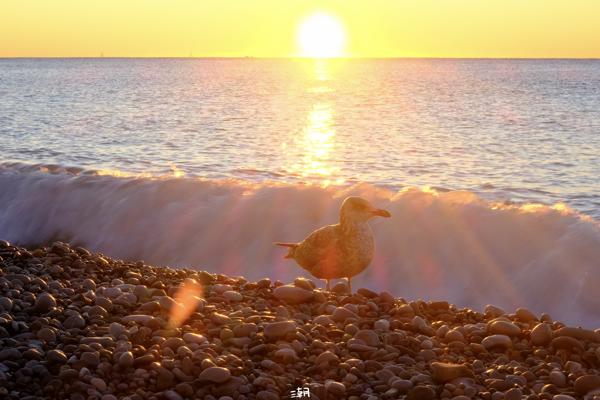  <strong>- Date</strong>: December 28, 2025 <br> <strong>- Exposure Time </strong>: 1/30 <br> <strong>- Focal Length </strong>: 68 mm <br> <strong> - ISO</strong>: 400 <br>