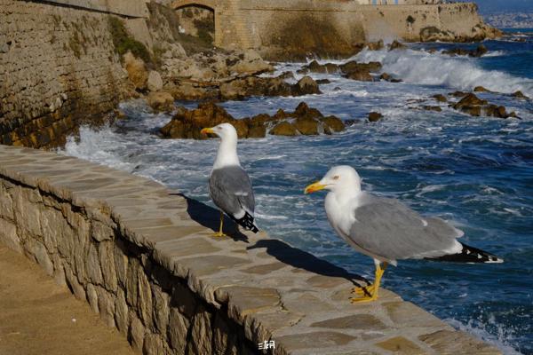  <strong>- Date</strong>: December 27, 2025 <br> <strong>- Exposure Time </strong>: 1/1000 <br> <strong>- Focal Length </strong>: 68 mm <br> <strong> - ISO</strong>: 1000 <br>