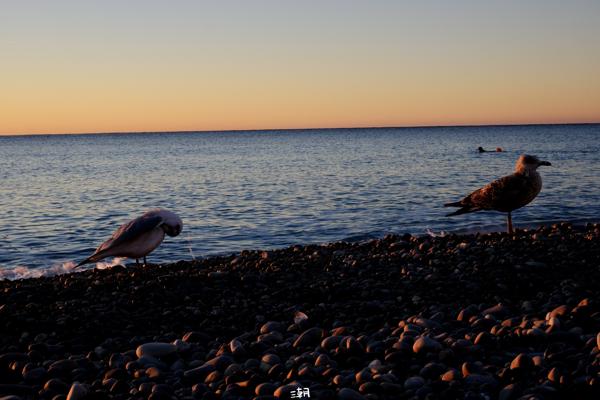  <strong>- Date</strong>: December 28, 2025 <br> <strong>- Exposure Time </strong>: 1/30 <br> <strong>- Focal Length </strong>: 53 mm <br> <strong> - ISO</strong>: 400 <br>