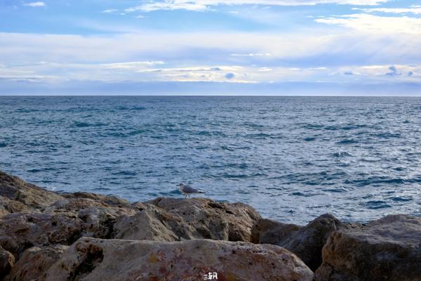  <strong>- Date</strong>: December 25, 2025 <br> <strong>- Exposure Time </strong>: 1/125 <br> <strong>- Focal Length </strong>: 68 mm <br> <strong> - ISO</strong>: 640 <br>