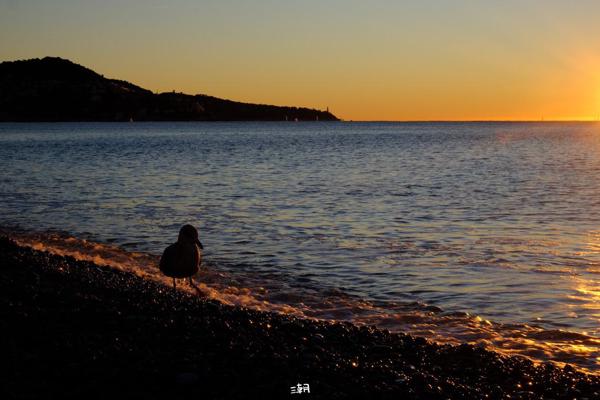  <strong>- Date</strong>: December 28, 2025 <br> <strong>- Exposure Time </strong>: 1/60 <br> <strong>- Focal Length </strong>: 68 mm <br> <strong> - ISO</strong>: 320 <br>