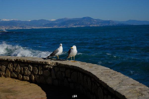  <strong>- Date</strong>: December 27, 2025 <br> <strong>- Exposure Time </strong>: 1/1000 <br> <strong>- Focal Length </strong>: 68 mm <br> <strong> - ISO</strong>: 1000 <br>