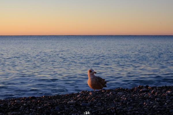  <strong>- Date</strong>: December 28, 2025 <br> <strong>- Exposure Time </strong>: 1/30 <br> <strong>- Focal Length </strong>: 68 mm <br> <strong> - ISO</strong>: 500 <br>