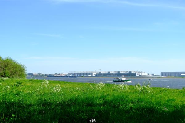  <strong>- Date</strong>: May 01, 2024 <br> <strong>- Exposure Time </strong>: 1/1000 <br> <strong>- Focal Length </strong>: 42 mm <br> <strong> - ISO</strong>: 400 <br>