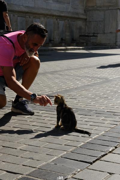  <strong>- Date</strong>: September 20, 2025 <br> <strong>- Exposure Time </strong>: 1/500 <br> <strong>- Focal Length </strong>: 68 mm <br> <strong> - ISO</strong>: 1000 <br>