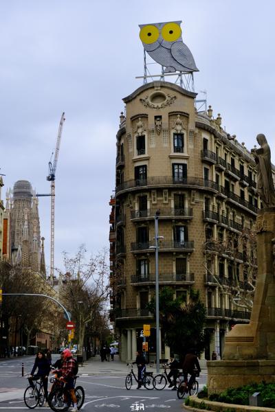  <strong>- Date</strong>: February 15, 2025 <br> <strong>- Exposure Time </strong>: 1/500 <br> <strong>- Focal Length </strong>: 59 mm <br> <strong> - ISO</strong>: 640 <br>