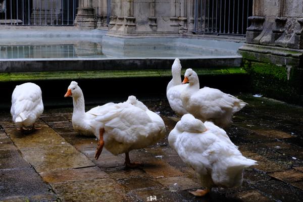  <strong>- Date</strong>: February 16, 2025 <br> <strong>- Exposure Time </strong>: 1/60 <br> <strong>- Focal Length </strong>: 67 mm <br> <strong> - ISO</strong>: 800 <br>