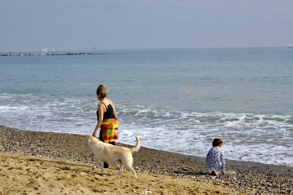  <strong>- Date</strong>: February 16, 2025 <br> <strong>- Exposure Time </strong>: 1/250 <br> <strong>- Focal Length </strong>: 68 mm <br> <strong> - ISO</strong>: 800 <br>