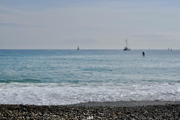  <strong>- Date</strong>: February 16, 2025 <br> <strong>- Exposure Time </strong>: 1/1000 <br> <strong>- Focal Length </strong>: 56 mm <br> <strong> - ISO</strong>: 800 <br>