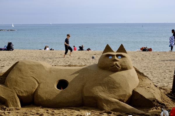  <strong>- Date</strong>: February 16, 2025 <br> <strong>- Exposure Time </strong>: 1/250 <br> <strong>- Focal Length </strong>: 68 mm <br> <strong> - ISO</strong>: 200 <br>