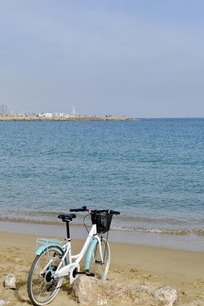  <strong>- Date</strong>: February 16, 2025 <br> <strong>- Exposure Time </strong>: 1/2000 <br> <strong>- Focal Length </strong>: 63 mm <br> <strong> - ISO</strong>: 800 <br>