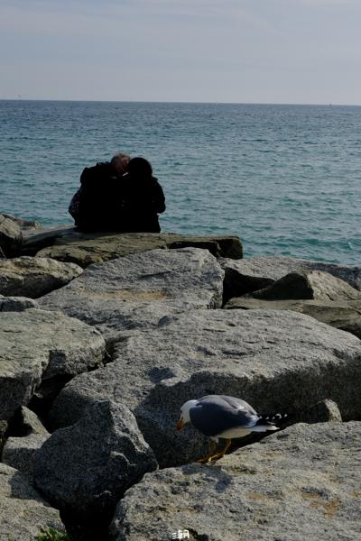  <strong>- Date</strong>: February 16, 2025 <br> <strong>- Exposure Time </strong>: 1/2000 <br> <strong>- Focal Length </strong>: 53 mm <br> <strong> - ISO</strong>: 800 <br>