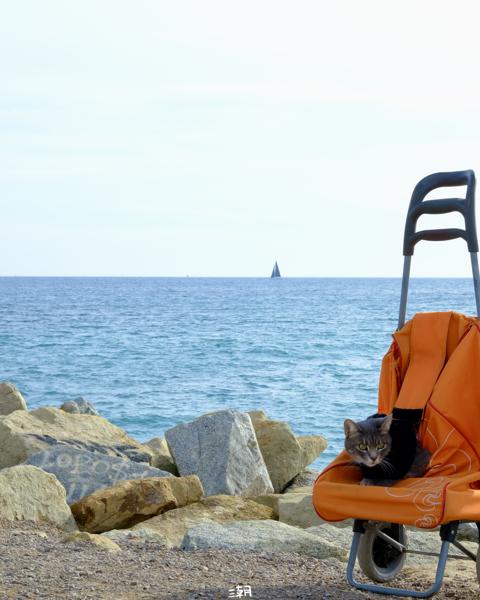  <strong>- Date</strong>: February 16, 2025 <br> <strong>- Exposure Time </strong>: 1/250 <br> <strong>- Focal Length </strong>: 68 mm <br> <strong> - ISO</strong>: 800 <br>