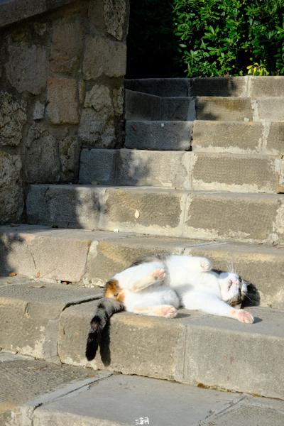  <strong>- Date</strong>: February 16, 2025 <br> <strong>- Exposure Time </strong>: 1/250 <br> <strong>- Focal Length </strong>: 68 mm <br> <strong> - ISO</strong>: 1000 <br>