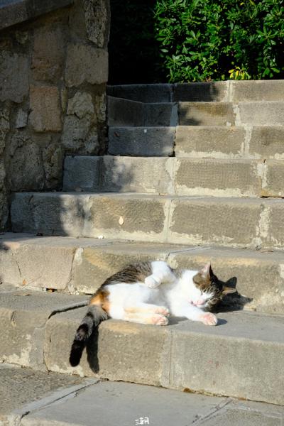  <strong>- Date</strong>: February 16, 2025 <br> <strong>- Exposure Time </strong>: 1/250 <br> <strong>- Focal Length </strong>: 68 mm <br> <strong> - ISO</strong>: 1000 <br>