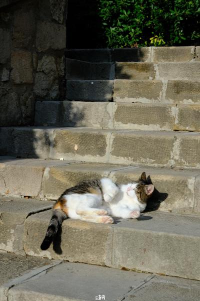  <strong>- Date</strong>: February 16, 2025 <br> <strong>- Exposure Time </strong>: 1/250 <br> <strong>- Focal Length </strong>: 68 mm <br> <strong> - ISO</strong>: 1000 <br>