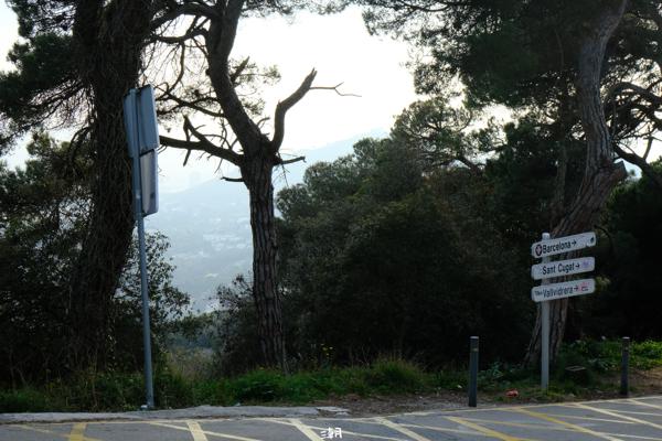  <strong>- Date</strong>: February 16, 2025 <br> <strong>- Exposure Time </strong>: 1/180 <br> <strong>- Focal Length </strong>: 63 mm <br> <strong> - ISO</strong>: 1000 <br>