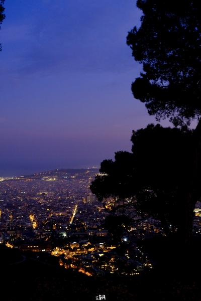  <strong>- Date</strong>: February 16, 2025 <br> <strong>- Exposure Time </strong>: 1/4 <br> <strong>- Focal Length </strong>: 51 mm <br> <strong> - ISO</strong>: 1250 <br>