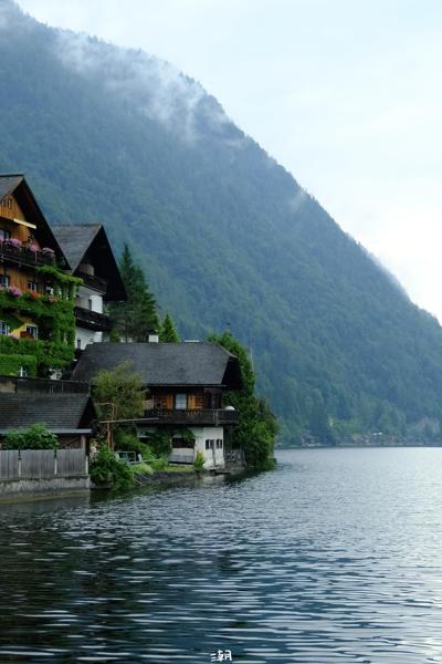  <strong>- Date</strong>: July 28, 2024 <br> <strong>- Exposure Time </strong>: 1/500 <br> <strong>- Focal Length </strong>: 48 mm <br> <strong> - ISO</strong>: 1600 <br>