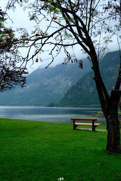  <strong>- Date</strong>: July 28, 2024 <br> <strong>- Exposure Time </strong>: 1/1000 <br> <strong>- Focal Length </strong>: 43 mm <br> <strong> - ISO</strong>: 2000 <br>