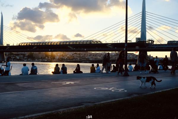  <strong>- Date</strong>: September 21, 2025 <br> <strong>- Exposure Time </strong>: 1/500 <br> <strong>- Focal Length </strong>: 43 mm <br> <strong> - ISO</strong>: 1600 <br>