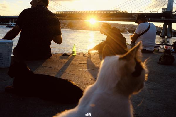  <strong>- Date</strong>: September 21, 2025 <br> <strong>- Exposure Time </strong>: 1/500 <br> <strong>- Focal Length </strong>: 32 mm <br> <strong> - ISO</strong>: 1000 <br>