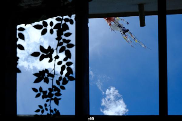  <strong>- Date</strong>: September 07, 2024 <br> <strong>- Exposure Time </strong>: 1/4000 <br> <strong>- Focal Length </strong>: 68 mm <br> <strong> - ISO</strong>: 2500 <br>