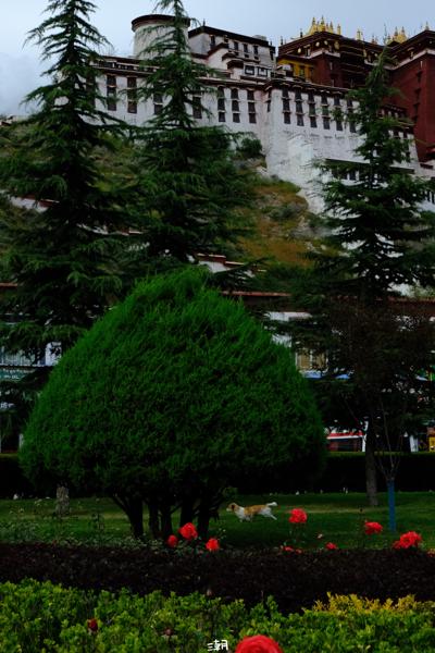  <strong>- Date</strong>: September 08, 2024 <br> <strong>- Exposure Time </strong>: 1/2000 <br> <strong>- Focal Length </strong>: 68 mm <br> <strong> - ISO</strong>: 2000 <br>