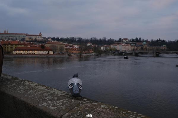  <strong>- Date</strong>: March 07, 2024 <br> <strong>- Exposure Time </strong>: 1/40 <br> <strong>- Focal Length </strong>: 32 mm <br> <strong> - ISO</strong>: 640 <br>