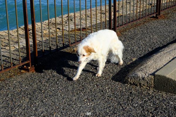  <strong>- Date</strong>: December 27, 2025 <br> <strong>- Exposure Time </strong>: 1/500 <br> <strong>- Focal Length </strong>: 68 mm <br> <strong> - ISO</strong>: 1250 <br>