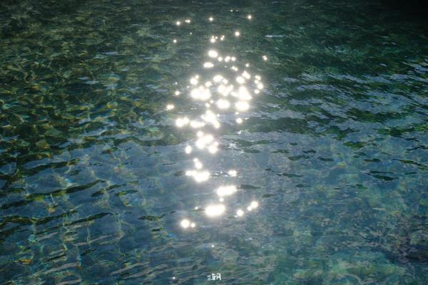  <strong>- Date</strong>: December 26, 2025 <br> <strong>- Exposure Time </strong>: 1/500 <br> <strong>- Focal Length </strong>: 68 mm <br> <strong> - ISO</strong>: 500 <br>