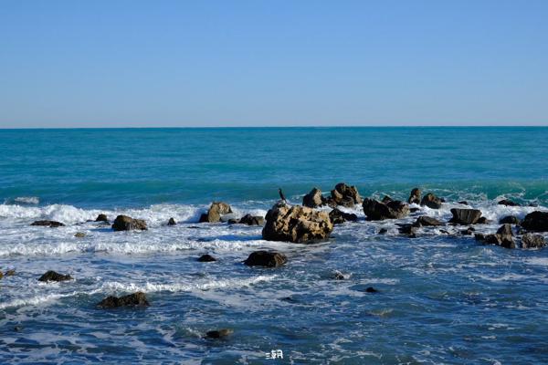  <strong>- Date</strong>: December 27, 2025 <br> <strong>- Exposure Time </strong>: 1/1000 <br> <strong>- Focal Length </strong>: 68 mm <br> <strong> - ISO</strong>: 1000 <br> <br><br><strong>- Description: </strong> 昂蒂布拍到的不知名但看着很厉害的鸟