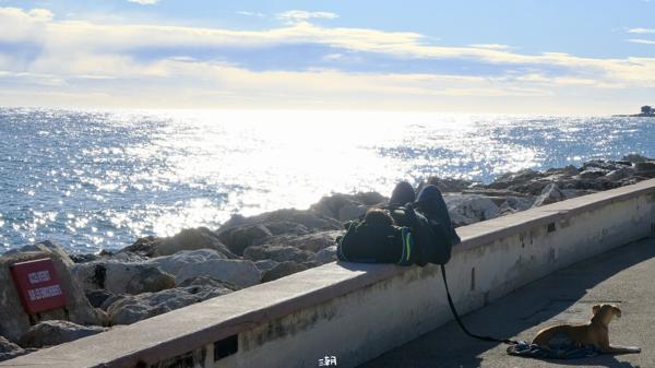  <strong>- Date</strong>: December 25, 2025 <br> <strong>- Exposure Time </strong>: 1/500 <br> <strong>- Focal Length </strong>: 68 mm <br> <strong> - ISO</strong>: 500 <br>