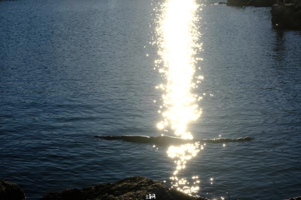  <strong>- Date</strong>: December 28, 2025 <br> <strong>- Exposure Time </strong>: 1/1000 <br> <strong>- Focal Length </strong>: 67 mm <br> <strong> - ISO</strong>: 1250 <br>