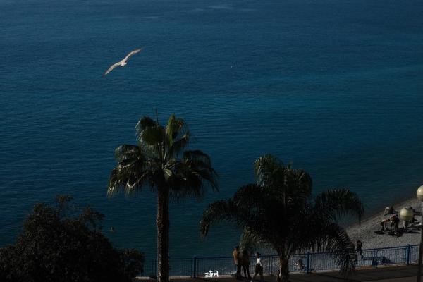  <strong>- Date</strong>: December 29, 2025 <br> <strong>- Exposure Time </strong>: 1/4000 <br> <strong>- Focal Length </strong>: 68 mm <br> <strong> - ISO</strong>: 1250 <br>