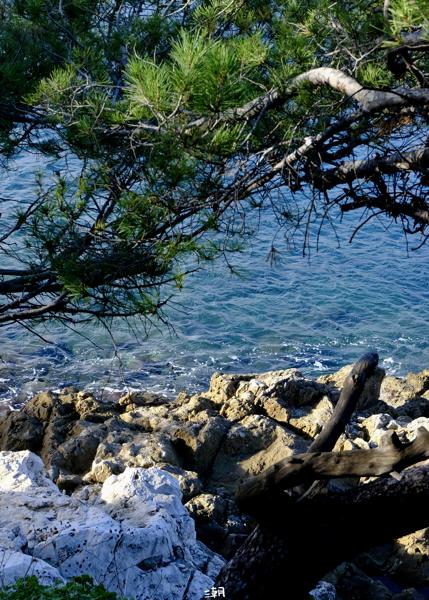  <strong>- Date</strong>: December 26, 2025 <br> <strong>- Exposure Time </strong>: 1/250 <br> <strong>- Focal Length </strong>: 67 mm <br> <strong> - ISO</strong>: 1000 <br>